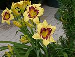    
: P1540309.jpg
: 19
:	128.7 
ID:	12841470