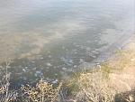     
: IMG-5531.JPG
: 28
:	127.3 
ID:	12845372