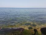     
: 20180830_154800.jpg
: 51
:	226.2 
ID:	12845839