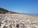     
: 20180831_160458.jpg
: 27
:	183.7 
ID:	12847022