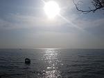     
: 20180902_090332.jpg
: 32
:	120.0 
ID:	12848666