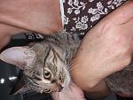     
: 20180902_133411.jpg
: 15
:	163.7 
ID:	12849596