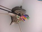     
: 20180902_132815.jpg
: 15
:	86.1 
ID:	12849597