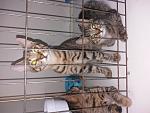     
: 20180825_135558.jpg
: 14
:	139.2 
ID:	12849599