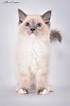     
: DSC_8337.jpg
: 34
:	35.9 
ID:	12852218