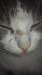     
: 41210439_2140314319622579_193730804898070528_n.jpg
: 15
:	57.2 
ID:	12858437