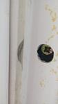    
: P80906-073138.jpg
: 32
:	22.6 
ID:	12861808