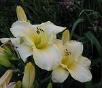     
: IMG_0361.jpg
: 15
:	95.7 
ID:	12864168