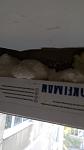     
: P80912-170005.jpg
: 21
:	29.8 
ID:	12865805
