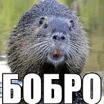    
: завантаження (1).jpg
: 6
:	8.8 
ID:	12866643