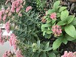     
: IMG_2586.jpg
: 8
:	255.0 
ID:	12868476