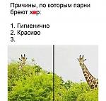     
: 41518318_1895766314065711_8778854650650177519_n.jpg
: 8
:	74.9 
ID:	12876890