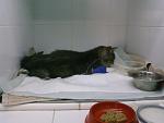     
: PIC_0040.jpg
: 12
:	74.7 
ID:	12876908