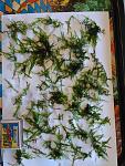     
: IMG_2018-09-23_174536.jpg
: 8
:	126.3 
ID:	12878689