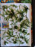     
: IMG_2018-09-23_174556.jpg
: 10
:	128.9 
ID:	12878690