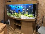     
: EC107AA4-0099-4AFC-ABB7-B1CC2E47E10E.jpg
: 15
:	137.7 
ID:	12879520