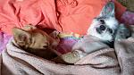     
: IMG-42ee0e0a7eabddf25e474f30cb230900-V.jpg
: 11
:	129.1 
ID:	12881279