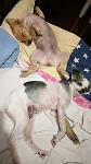     
: IMG-0e575be637958d9ffbbf07d84bdbf738-V.jpg
: 4
:	61.3 
ID:	12881291