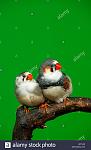     
: ACTJ43.jpg
: 24
:	50.9 
ID:	12882880