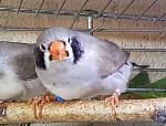     
: 1dhDGAi2f4s.jpg
: 17
:	35.6 
ID:	12882881