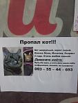     
: 20180920_165205.jpg
: 142
:	76.2 
ID:	12884005