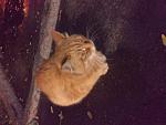     
: 20180924_195341.jpg
: 142
:	120.6 
ID:	12884009