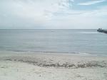     
: IMG_20180929_123732.jpg
: 20
:	73.2 
ID:	12886039