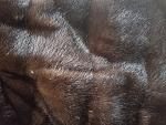     
: 20180131_132644.jpg
: 9
:	195.5 
ID:	12889064