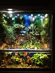     
: IMG_20181001_212405.jpg
: 16
:	148.6 
ID:	12889281