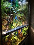     
: IMG_20181001_212417.jpg
: 15
:	163.5 
ID:	12889283