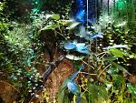     
: IMG_20181001_212440.jpg
: 14
:	288.9 
ID:	12889286