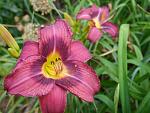     
: P1550974.jpg
: 19
:	122.5 
ID:	12890496