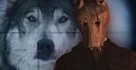     
: Hold-The-Dark-Wolf-and-Mask.jpg
: 29
:	30.9 
ID:	12891000