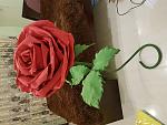     
: 20180928_195808.jpg
: 7
:	140.0 
ID:	12891505