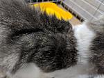     
: IMG_20181004_181736.jpg
: 7
:	180.1 
ID:	12894290