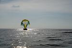     
: DSC03689-1.JPG
: 15
:	270.4 
ID:	12895903