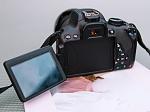     
: IMG_8966.jpg
: 19
:	90.6 
ID:	12897784