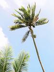     
: IMG_3700.jpg
: 13
:	112.6 
ID:	12897786