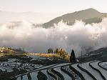     
: IMG_4651.jpg
: 10
:	102.5 
ID:	12897789