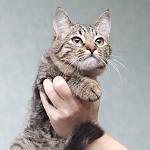     
: DSC_0147.jpg
: 9
:	87.6 
ID:	12898316