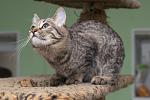     
: DSC_0144.jpg
: 9
:	92.4 
ID:	12898318