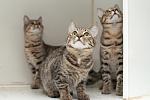     
: DSC_0135.jpg
: 9
:	76.6 
ID:	12898320