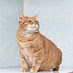     
: DSC_0126.jpg
: 13
:	75.4 
ID:	12898331