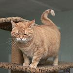     
: DSC_0108.jpg
: 14
:	80.5 
ID:	12898332