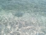     
: IMG_20181009_131434.jpg
: 14
:	153.2 
ID:	12900169