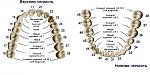     
: 234523453233-656x330.jpg
: 20
:	33.7 
ID:	12901332