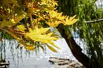     
: DSC04863-1.jpg
: 15
:	120.4 
ID:	12905018