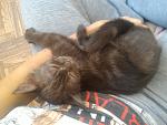     
: P_20181013_173323.jpg
: 21
:	138.1 
ID:	12905140