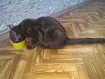     
: P_20181013_172836.jpg
: 17
:	164.9 
ID:	12905141