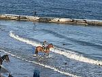     
: 5180783C-0679-4619-A1E3-4712BF017489.jpg
: 27
:	139.4 
ID:	12905886